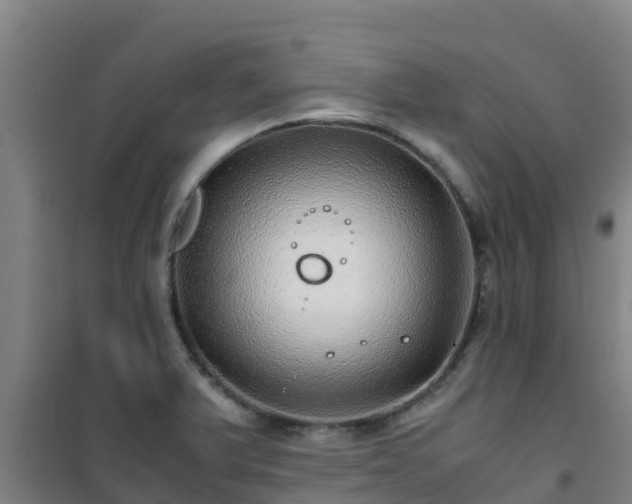 X0000101101375200807031740