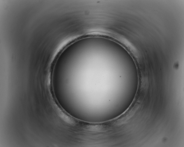 X0000101101376200807031740