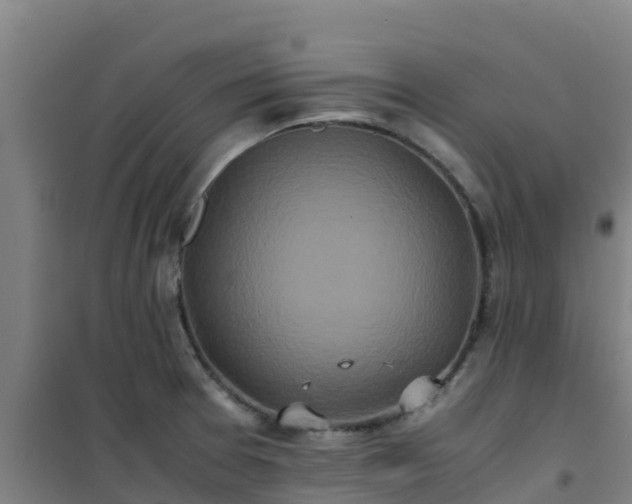 X0000101101377200807031740