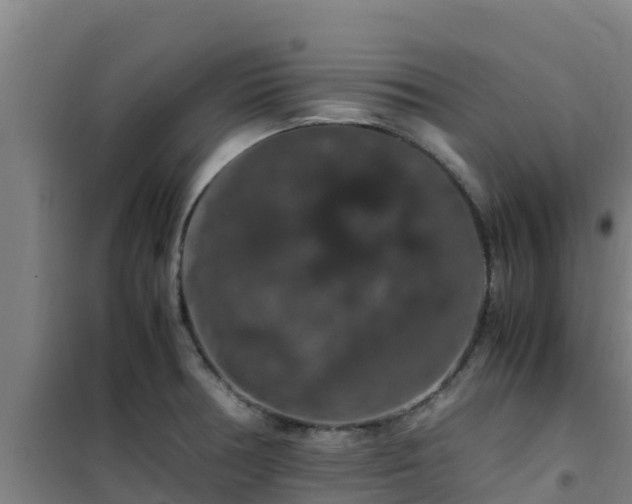 X0000101101378200807031740