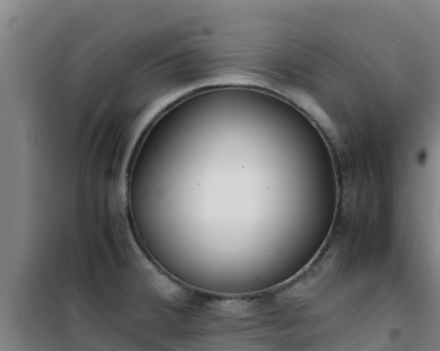 X0000101101380200807031740