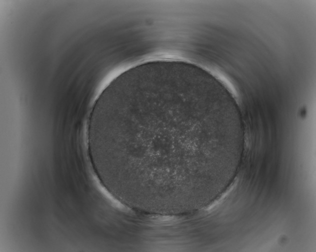 X0000101101382200807031740