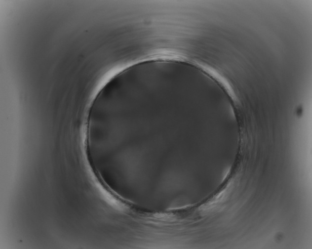 X0000101101383200807031740