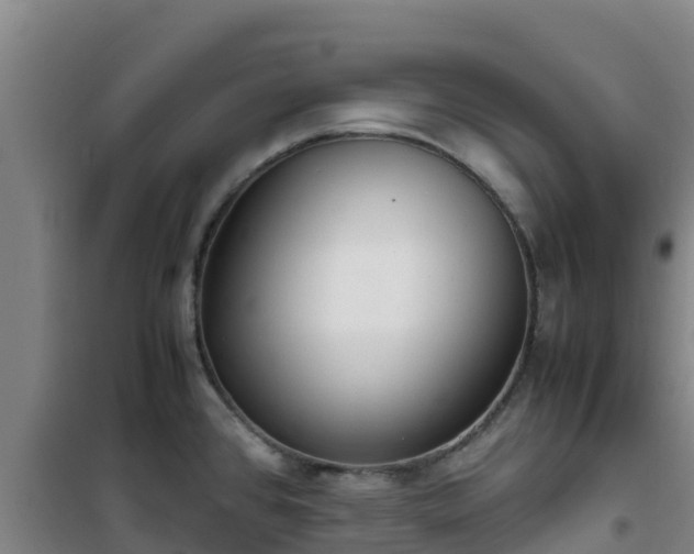 X0000101101384200807031740