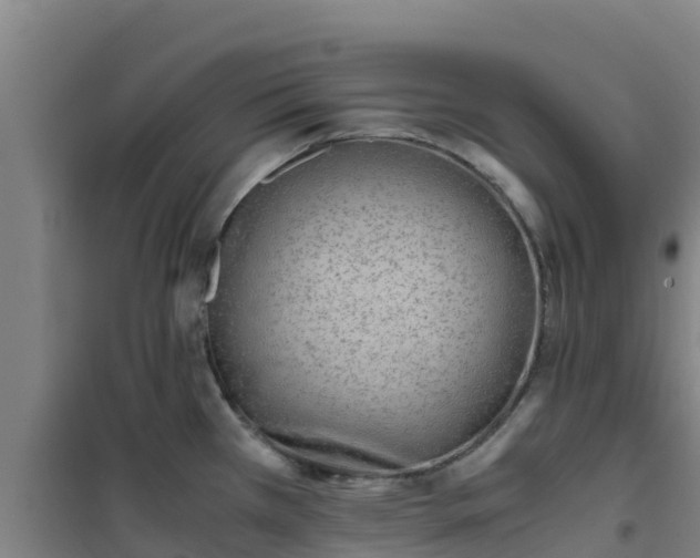 X0000101101385200807031740