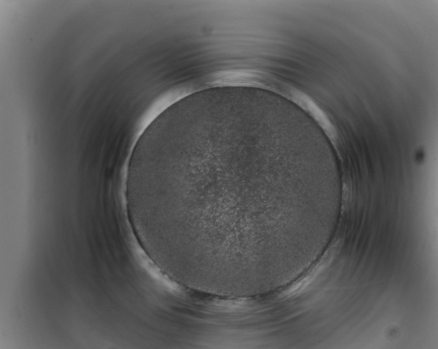 X0000101101386200807031740