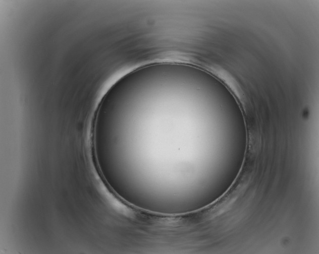 X0000101101387200807031740
