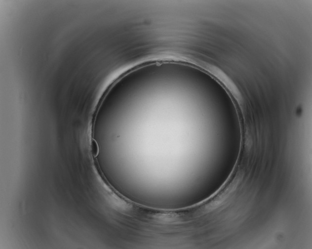 X0000101101388200807031740