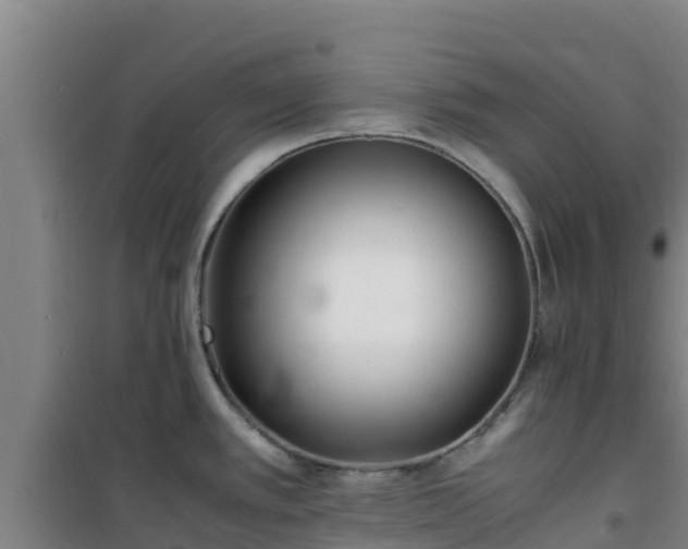 X0000101101389200807031740