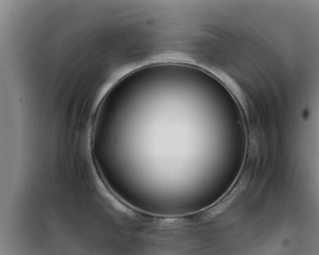X0000101101390200807031740