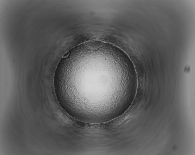 X0000101101393200807031739