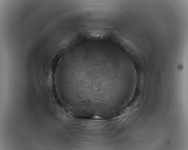 X0000101101394200807031739