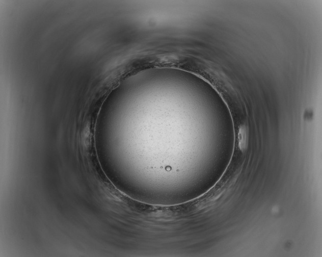 X0000101101395200807031739