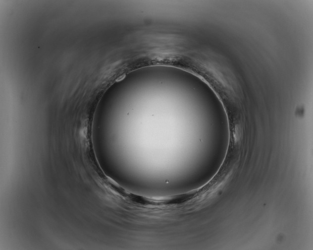 X0000101101396200807031739