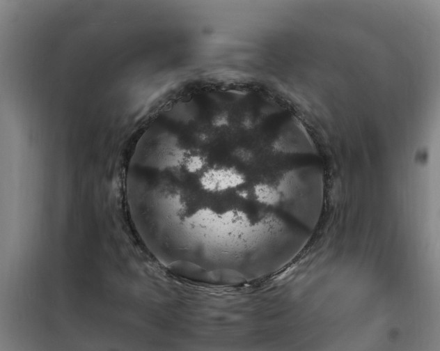 X0000101101397200807031739