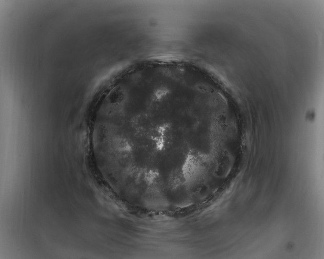 X0000101101398200807031739