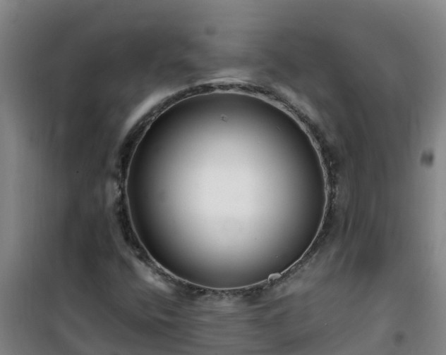 X0000101101400200807031739