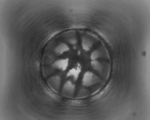X0000101101401200807031739