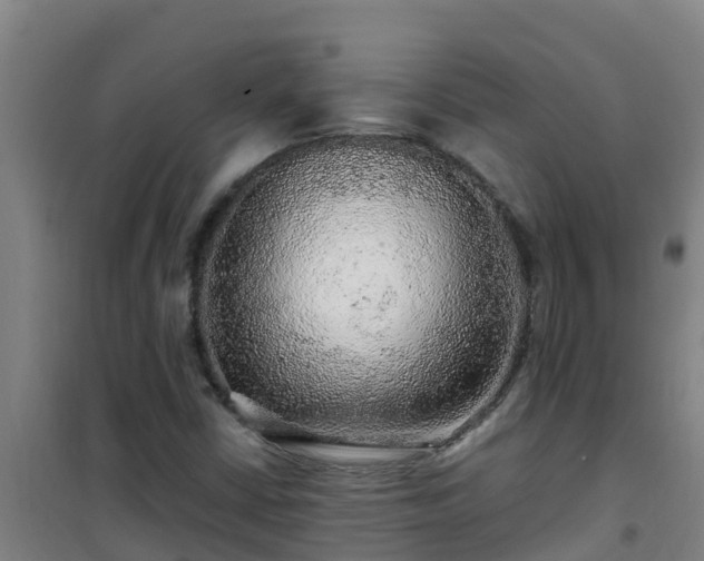X0000101101402200807031739