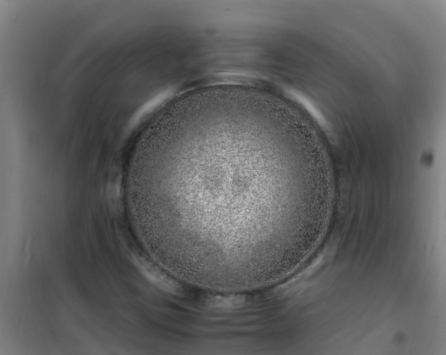 X0000101101403200807031739