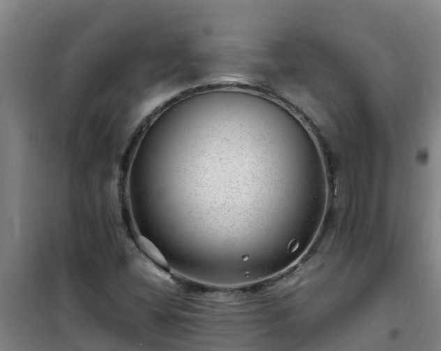 X0000101101404200807031739