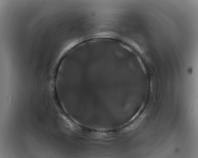 X0000101101405200807031739