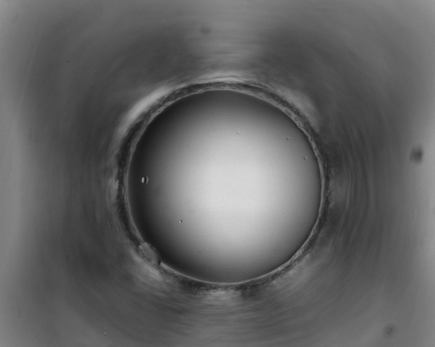 X0000101101406200807031739