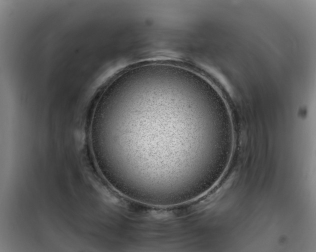 X0000101101407200807031739