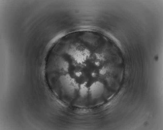 X0000101101411200807031739