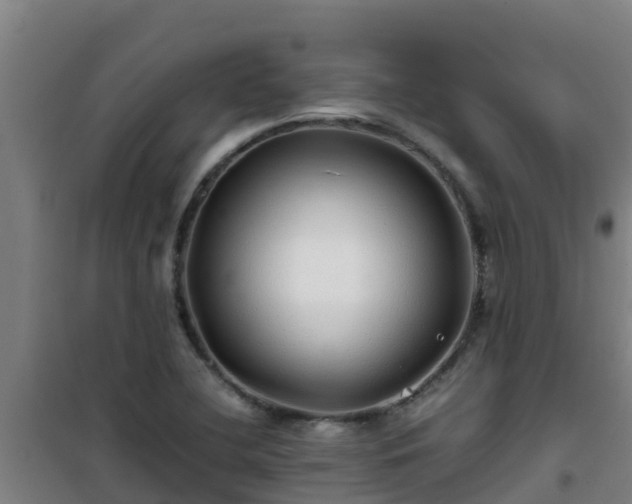 X0000101101412200807031739