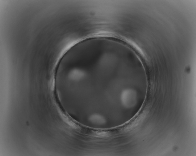 X0000101101413200807031739