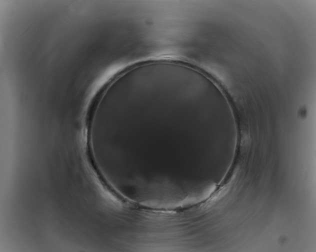 X0000101101414200807031739