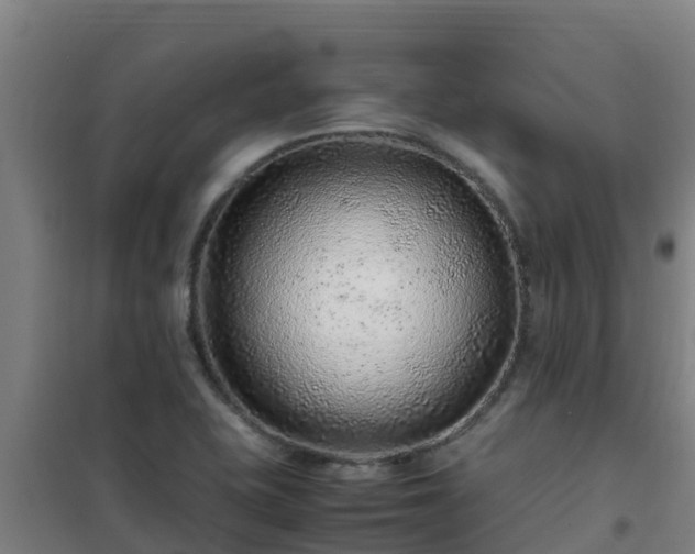 X0000101101415200807031739