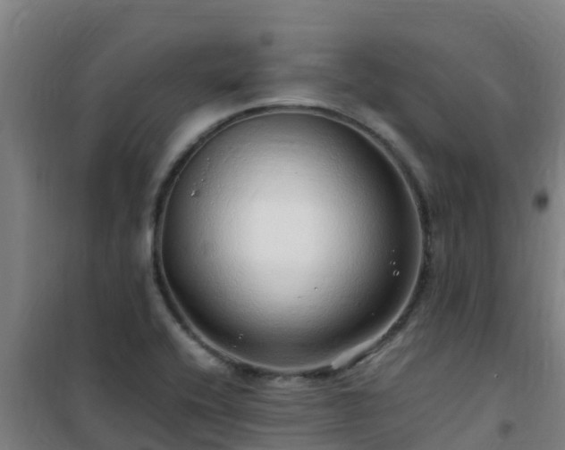 X0000101101416200807031739