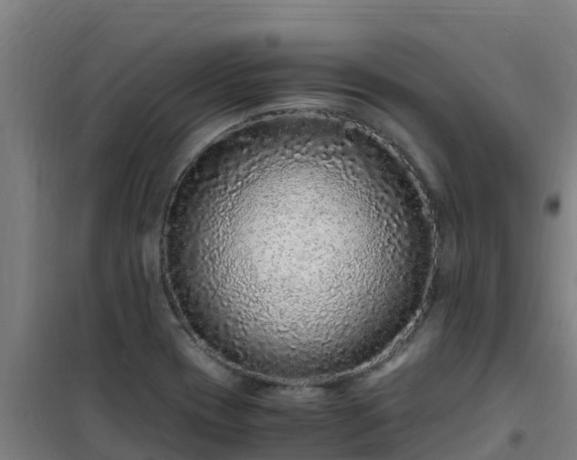 X0000101101417200807031739