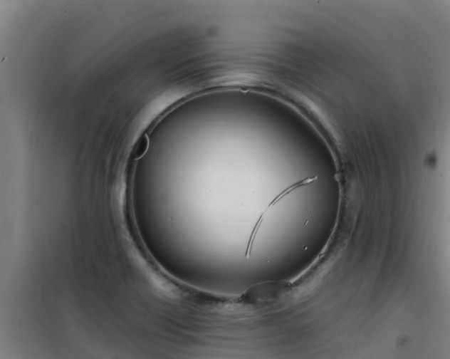 X0000101101418200807031739