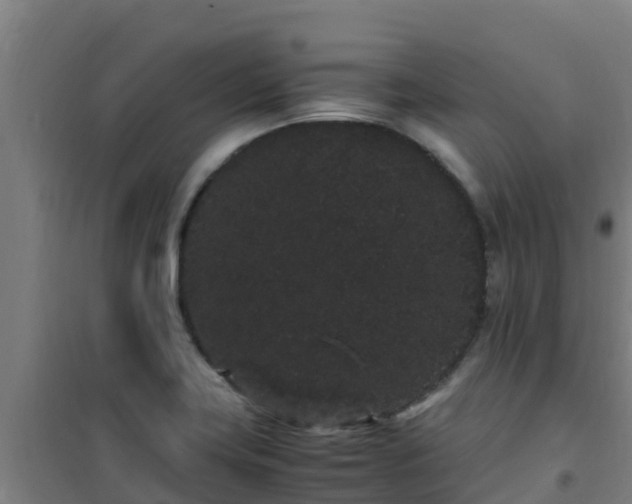 X0000101101419200807031739