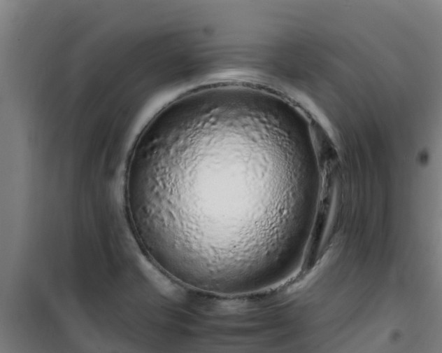 X0000101101421200807031739