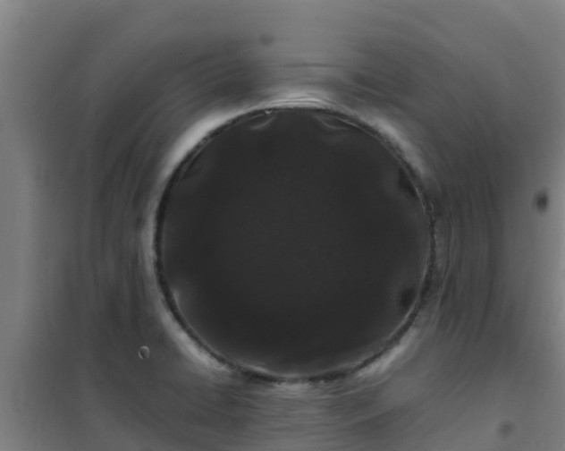 X0000101101422200807031739