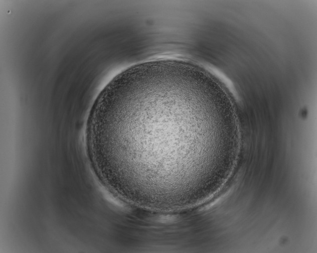 X0000101101423200807031739