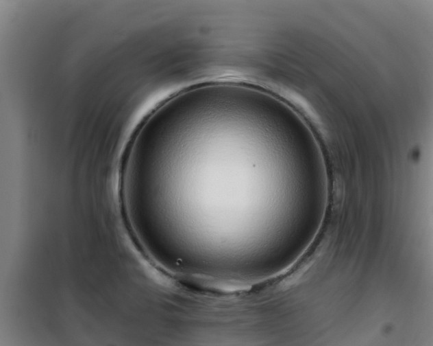 X0000101101424200807031739