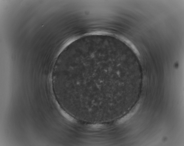 X0000101101425200807031739