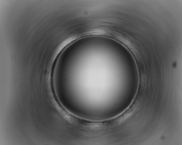 X0000101101426200807031739