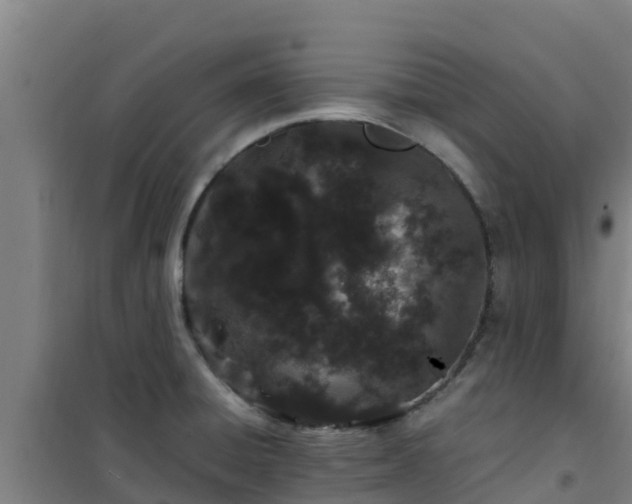 X0000101101428200807031739