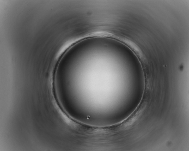X0000101101430200807031739