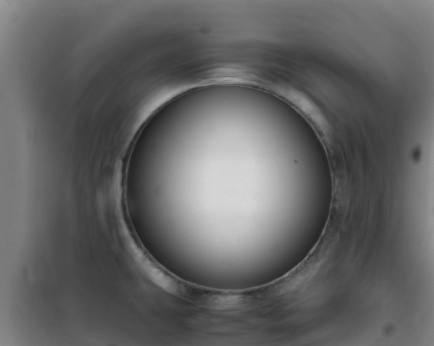 X0000101101431200807031739