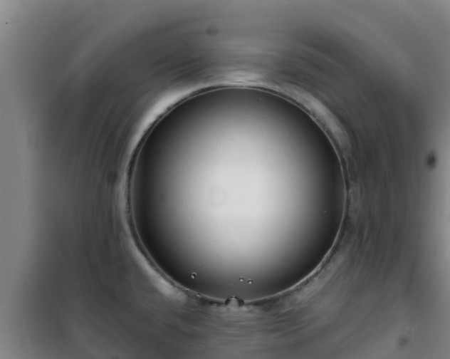X0000101101432200807031739