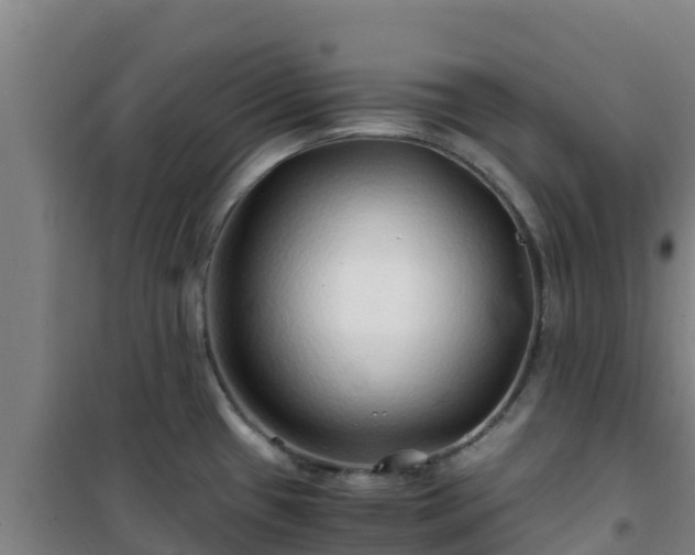 X0000101101433200807031739