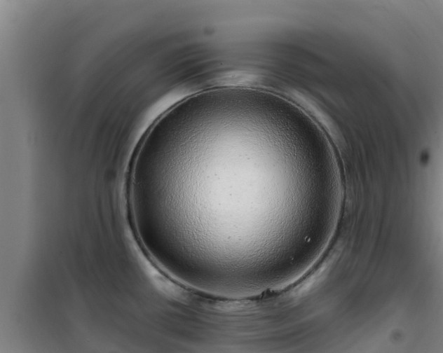 X0000101101434200807031739