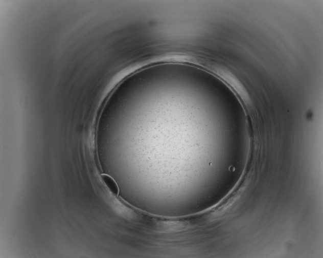 X0000101101436200807031739